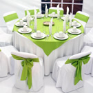 Plants: image 1 0f 4 thumb